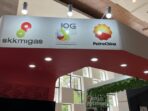 PetroChina SKK Migas